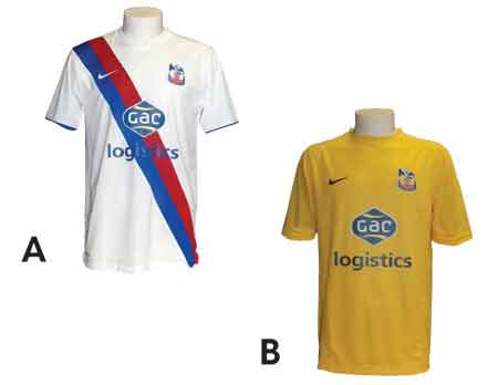 Crystal Palace 2010 - 11 votación de camisetas