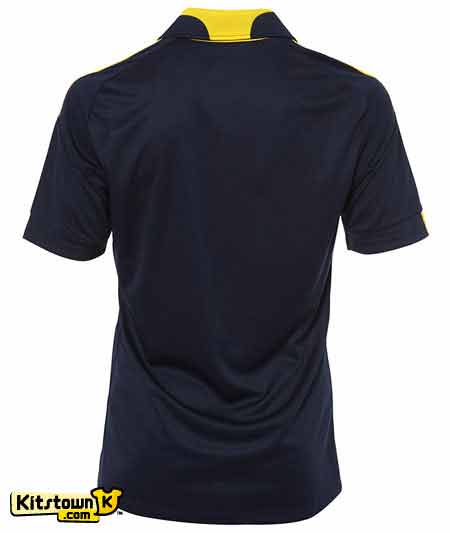 Segunda camisa de San Etienne 2010 - 11