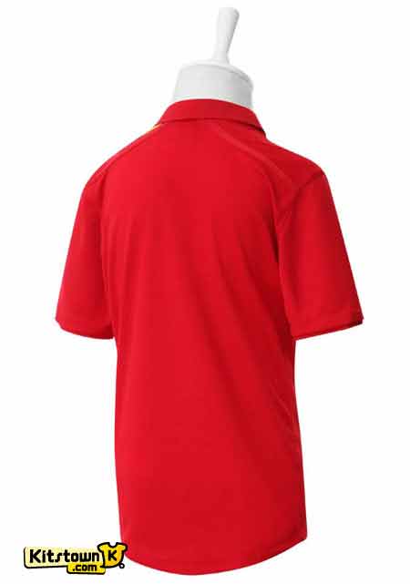 La camisa de casa de Gales 2012 - 13