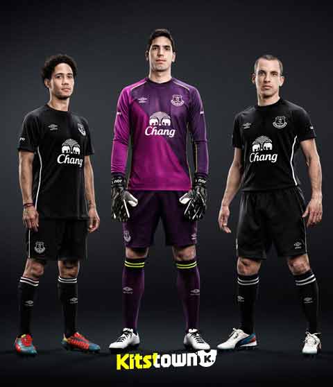 Everton 2014 - 15